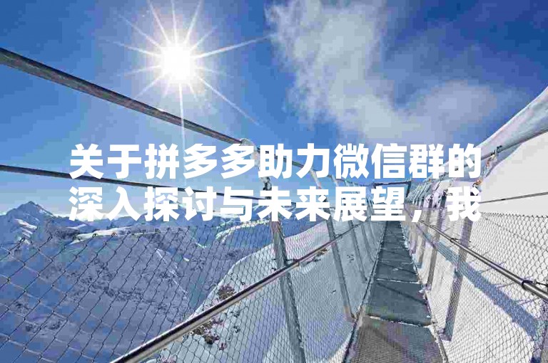关于拼多多助力微信群的深入探讨与未来展望，我们期待着更加高效、透明且用户友好的互助模式出现。