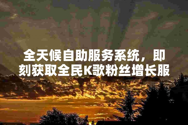 全天候自助服务系统，即刻获取全民K歌粉丝增长服务。