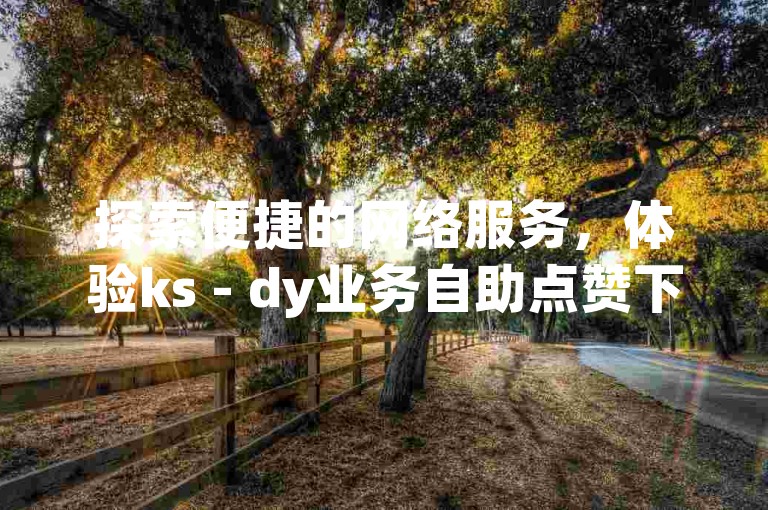 探索便捷的网络服务，体验ks - dy业务自助点赞下单的全新方式。