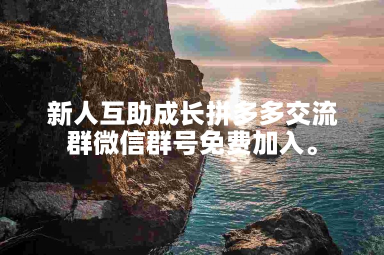 新人互助成长拼多多交流群微信群号免费加入。