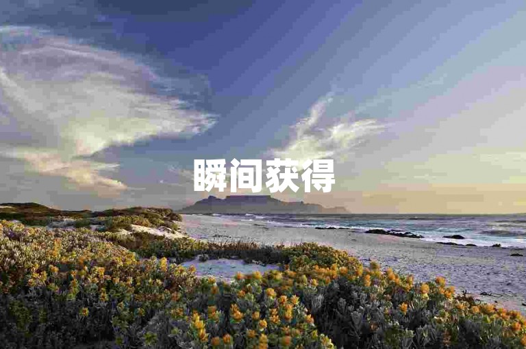 瞬间获得5000点赞的绝密技巧，揭秘如何在一秒钟内赢得5000个赞！2025年必备技能。