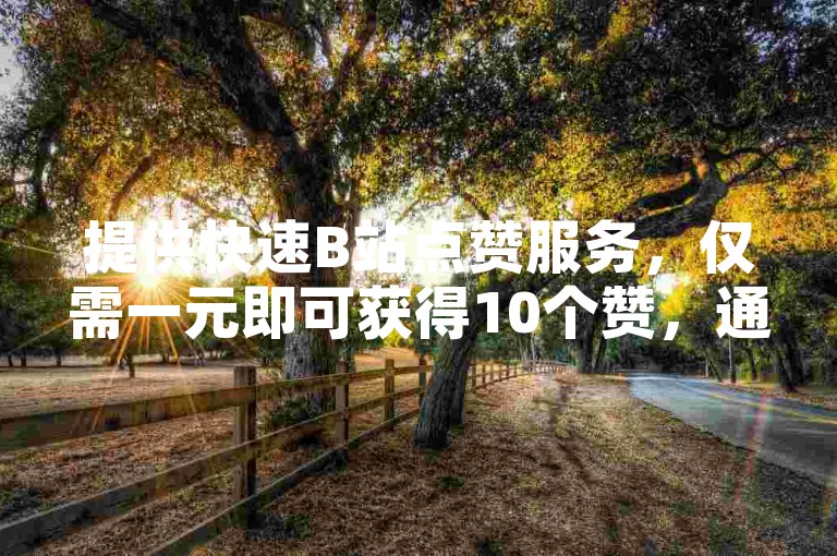 提供快速B站点赞服务，仅需一元即可获得10个赞，通过我们的24小时自助下单平台轻松实现。