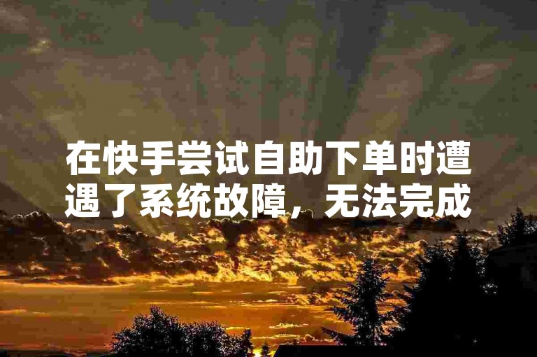 在快手尝试自助下单时遭遇了系统故障，无法完成订单。