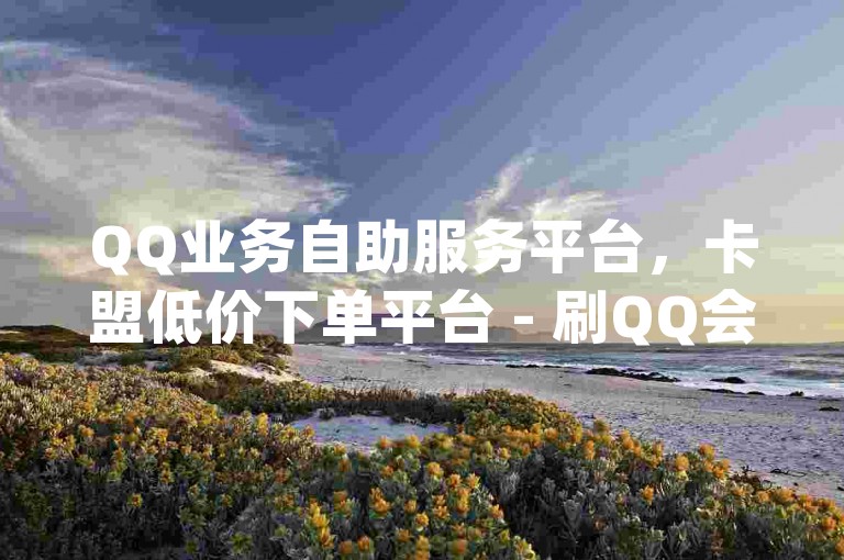 QQ业务自助服务平台，卡盟低价下单平台 - 刷QQ会员网站永久网址卡盟 - q拉接单入口