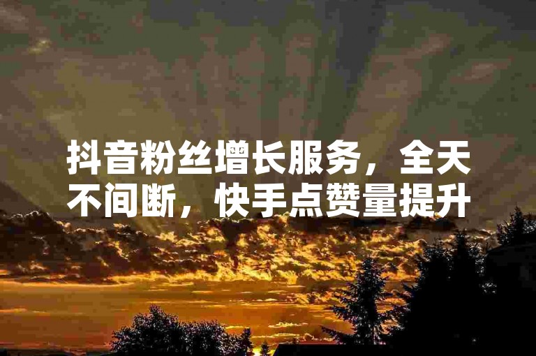 抖音粉丝增长服务，全天不间断，快手点赞量提升，轻松获取。