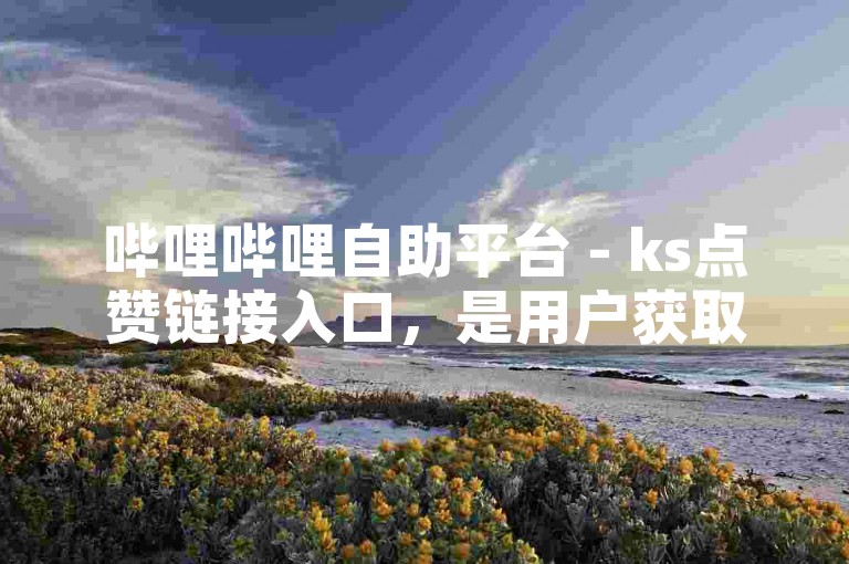 哔哩哔哩自助平台 - ks点赞链接入口，是用户获取点赞服务的首选途径。
