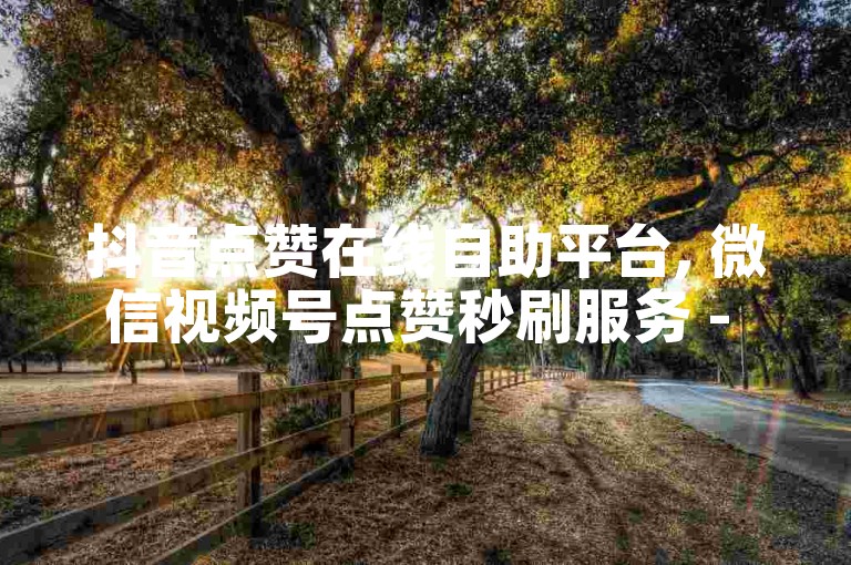 抖音点赞在线自助平台, 微信视频号点赞秒刷服务 - 快速提升播放量和粉丝量。