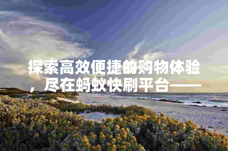 探索高效便捷的购物体验，尽在蚂蚁快刷平台——您的低价下单首选入口。