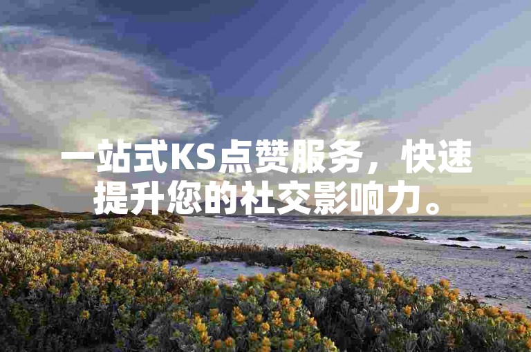 一站式KS点赞服务，快速提升您的社交影响力。