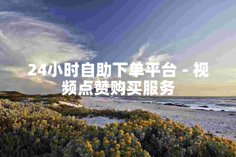24小时自助下单平台 - 视频点赞购买服务