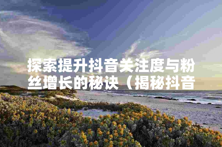 探索提升抖音关注度与粉丝增长的秘诀（揭秘抖音高流量秘籍，轻松吸引粉丝的有效策略）。