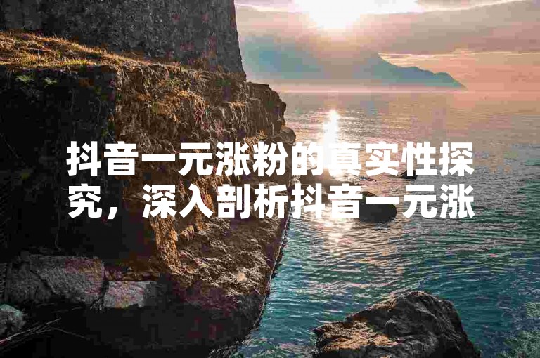 抖音一元涨粉的真实性探究，深入剖析抖音一元涨粉现象，揭示其背后的真相！2025年必备知识。