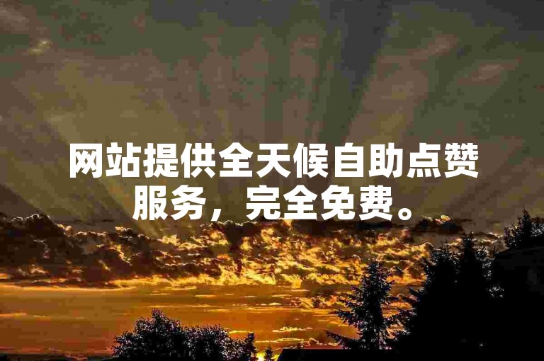 网站提供全天候自助点赞服务，完全免费。