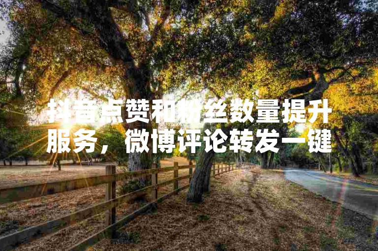抖音点赞和粉丝数量提升服务，微博评论转发一键搞定 - 全网最低价的社交媒体推广工具 - 让你的内容迅速走红网络。