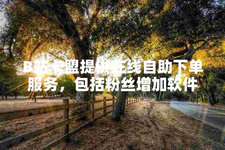 B站卡盟提供在线自助下单服务，包括粉丝增加软件等多种功能。