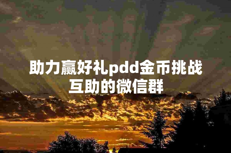 助力赢好礼pdd金币挑战互助的微信群