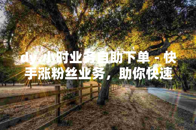 dy.小时业务自助下单 - 快手涨粉丝业务，助你快速提升影响力。