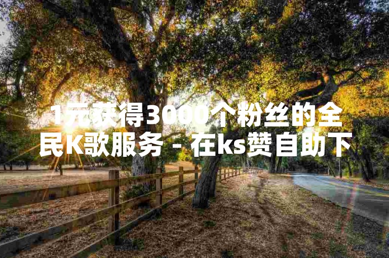 1元获得3000个粉丝的全民K歌服务 - 在ks赞自助下单平台网站享受超值优惠。