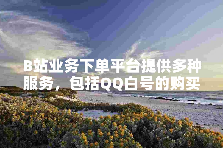 B站业务下单平台提供多种服务，包括QQ白号的购买选项。