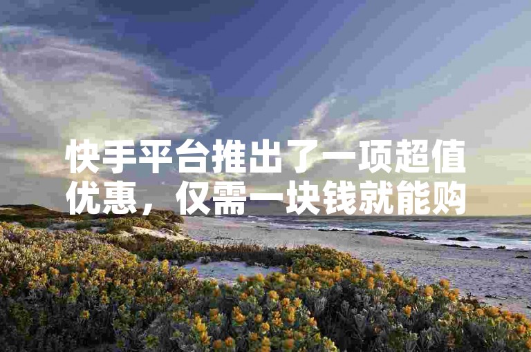 快手平台推出了一项超值优惠，仅需一块钱就能购买价值500元的站点服务，这一最新活动的答案已经得到了官方的明确解释和落实，适用于iPhone用户的版本号为54.67.118。