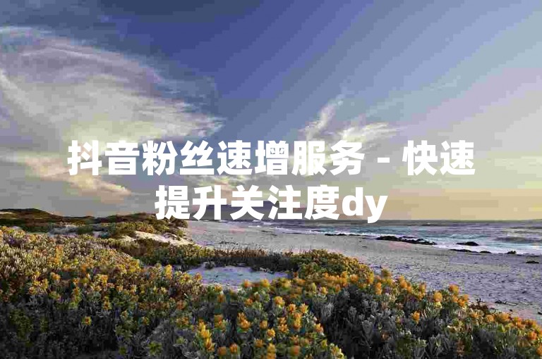 抖音粉丝速增服务 - 快速提升关注度dy