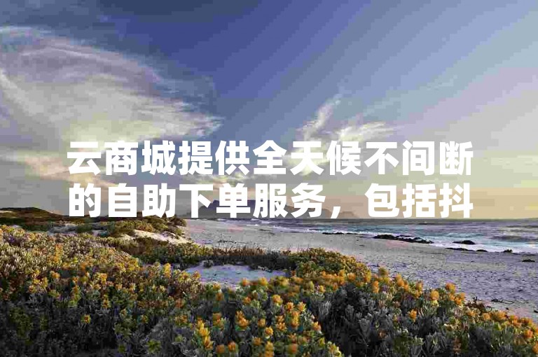云商城提供全天候不间断的自助下单服务，包括抖音业务在内的多种在线交易，确保用户随时享受便捷的购买体验。