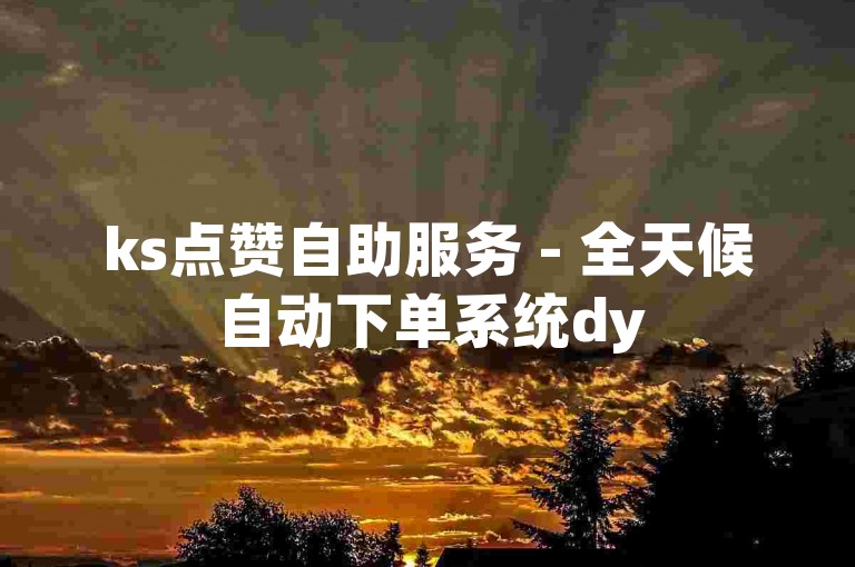 ks点赞自助服务 - 全天候自动下单系统dy