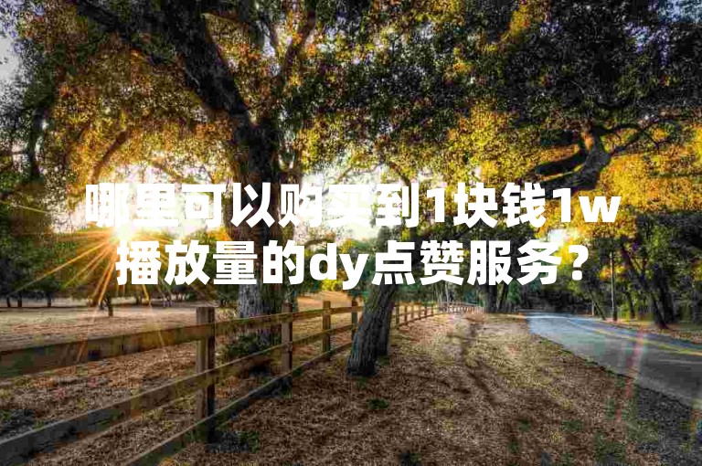 哪里可以购买到1块钱1w播放量的dy点赞服务？