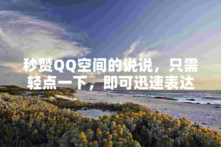 秒赞QQ空间的说说，只需轻点一下，即可迅速表达你的喜爱与支持。