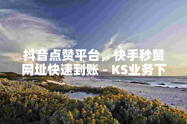 抖音点赞平台，快手秒赞网址快速到账 - KS业务下单秒到100个赞 - 超快速平台让微利也疯狂!