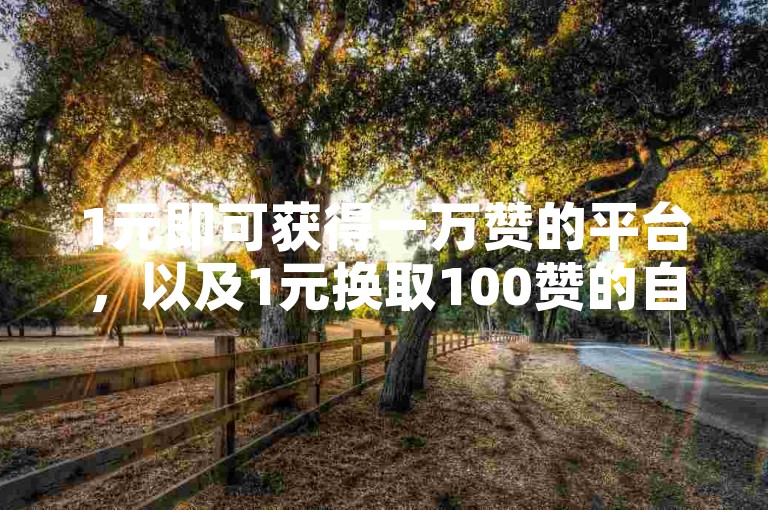 1元即可获得一万赞的平台，以及1元换取100赞的自助下单网站，都是极具性价比的选择。
