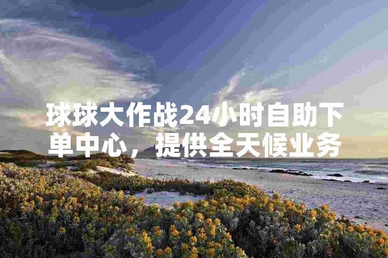 球球大作战24小时自助下单中心，提供全天候业务服务。