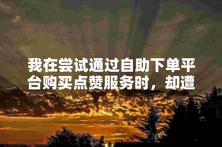 我在尝试通过自助下单平台购买点赞服务时，却遭遇了系统无法使用的问题。
