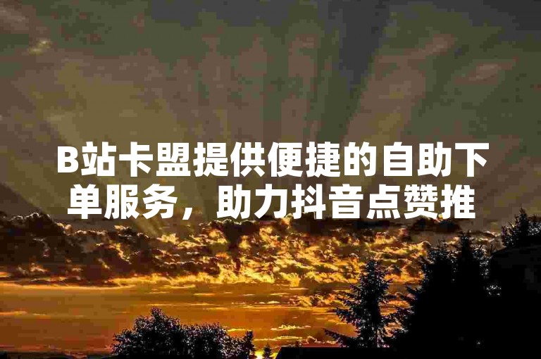 B站卡盟提供便捷的自助下单服务，助力抖音点赞推广充值，开启探索无界的旅程。
