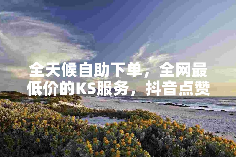 全天候自助下单，全网最低价的KS服务，抖音点赞自助平台随时待命。
