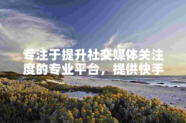 专注于提升社交媒体关注度的专业平台，提供快手粉丝增长服务的自助下单网站，以实惠的价格助力用户快速获取下载资源。