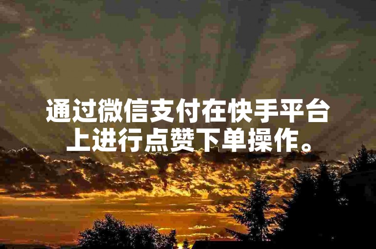 通过微信支付在快手平台上进行点赞下单操作。