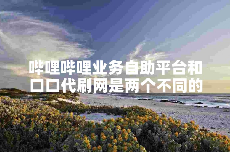 哔哩哔哩业务自助平台和口口代刷网是两个不同的网络服务平台。