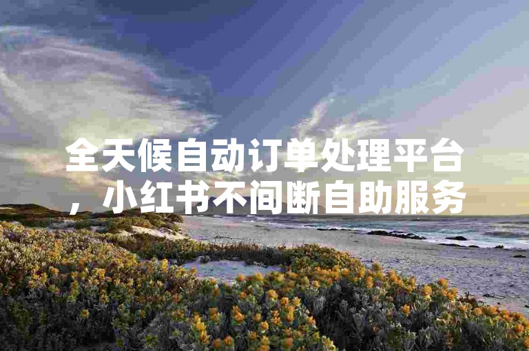 全天候自动订单处理平台，小红书不间断自助服务。