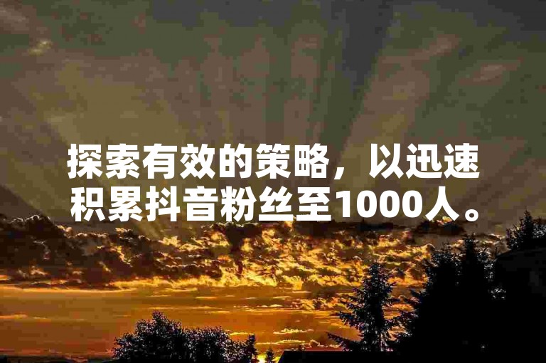 探索有效的策略，以迅速积累抖音粉丝至1000人。