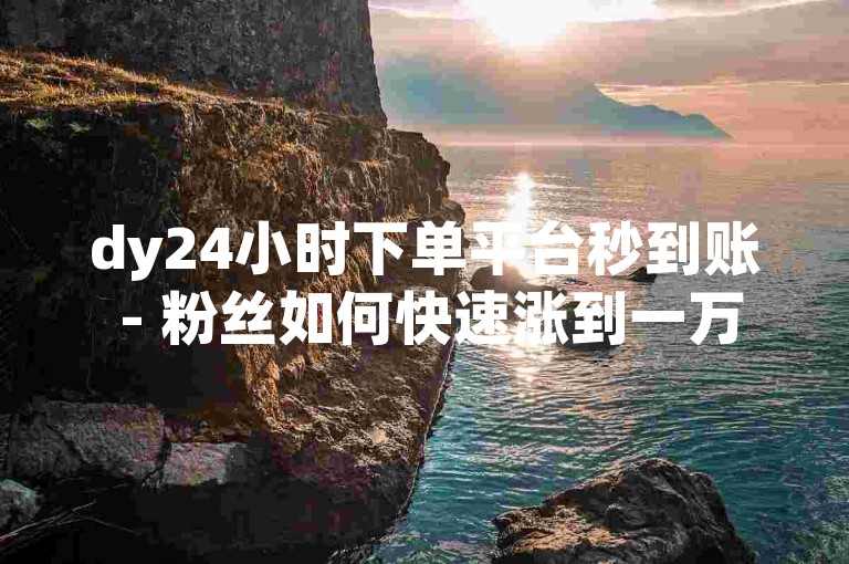 dy24小时下单平台秒到账 - 粉丝如何快速涨到一万