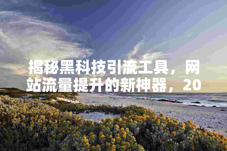 揭秘黑科技引流工具，网站流量提升的新神器，2025年必备技能！