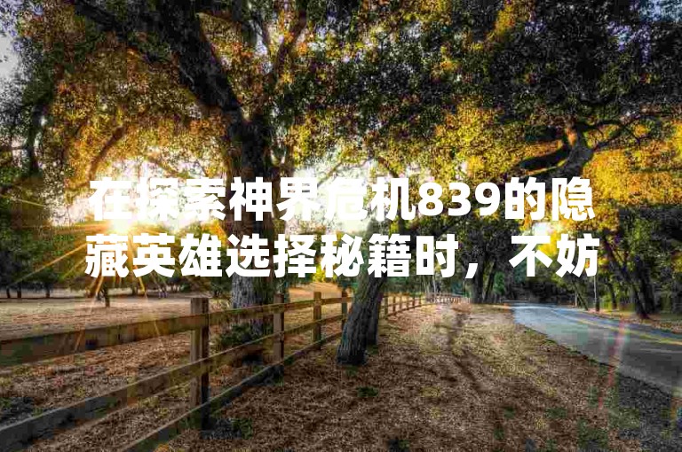 在探索神界危机839的隐藏英雄选择秘籍时，不妨试试dy免费24小时下单平台，那里或许藏有解锁英雄的秘密通道。
