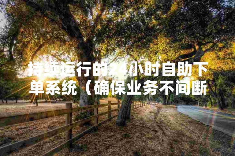 持续运行的24小时自助下单系统（确保业务不间断，提升工作效率）