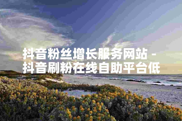 抖音粉丝增长服务网站 - 抖音刷粉在线自助平台低价