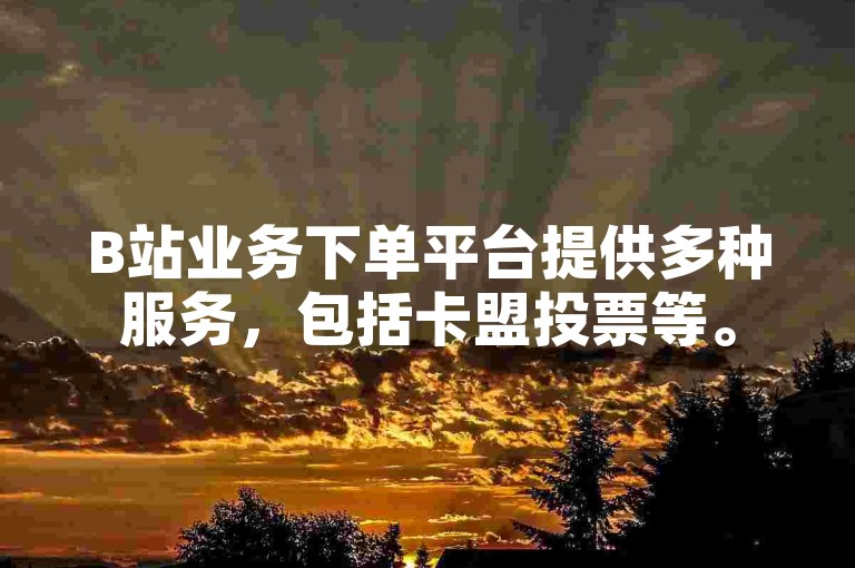 B站业务下单平台提供多种服务，包括卡盟投票等。
