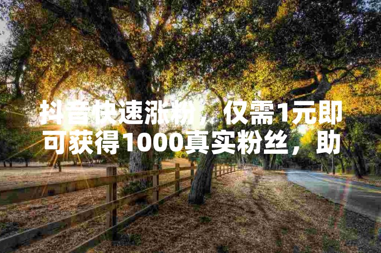 抖音快速涨粉，仅需1元即可获得1000真实粉丝，助你轻松成为热门博主。