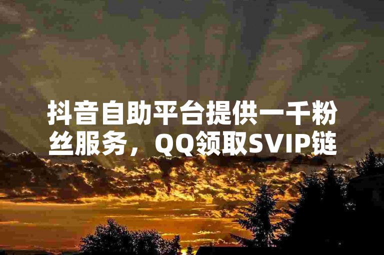 抖音自助平台提供一千粉丝服务，QQ领取SVIP链接免费 - 卡盟前十排行榜震撼上线!