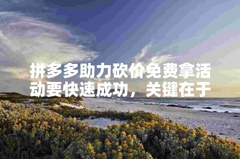 拼多多助力砍价免费拿活动要快速成功，关键在于广泛邀请好友助力，同时把握每次砍价机会，合理利用平台规则，积极参与各种助力任务。