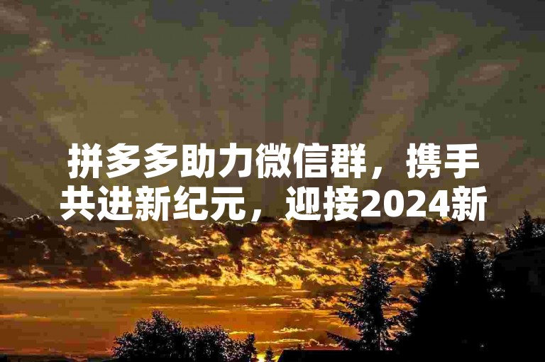 拼多多助力微信群，携手共进新纪元，迎接2024新挑战。